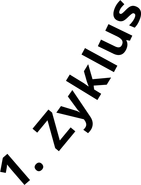 1. Zyklus