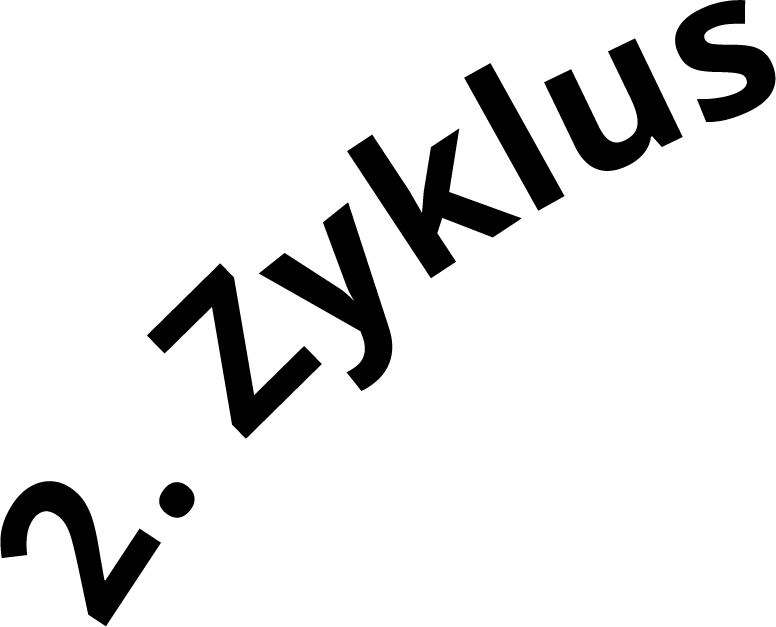 2. Zyklus